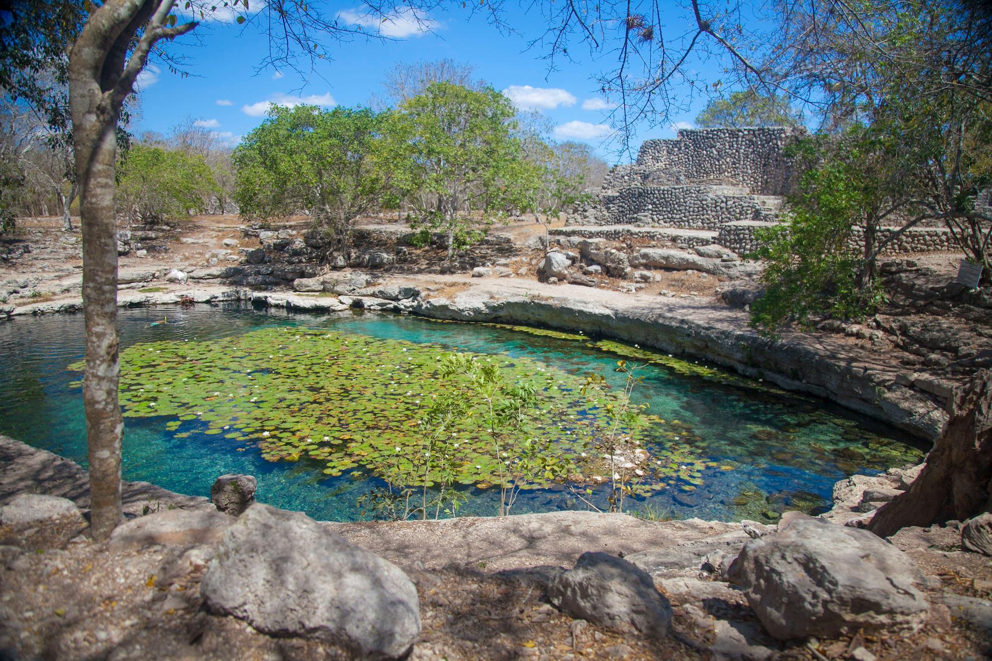 Lac aux nénuphars sur le site maya de Mérida au Mexique. © Design Pics Inc, Alamy Banque d’images