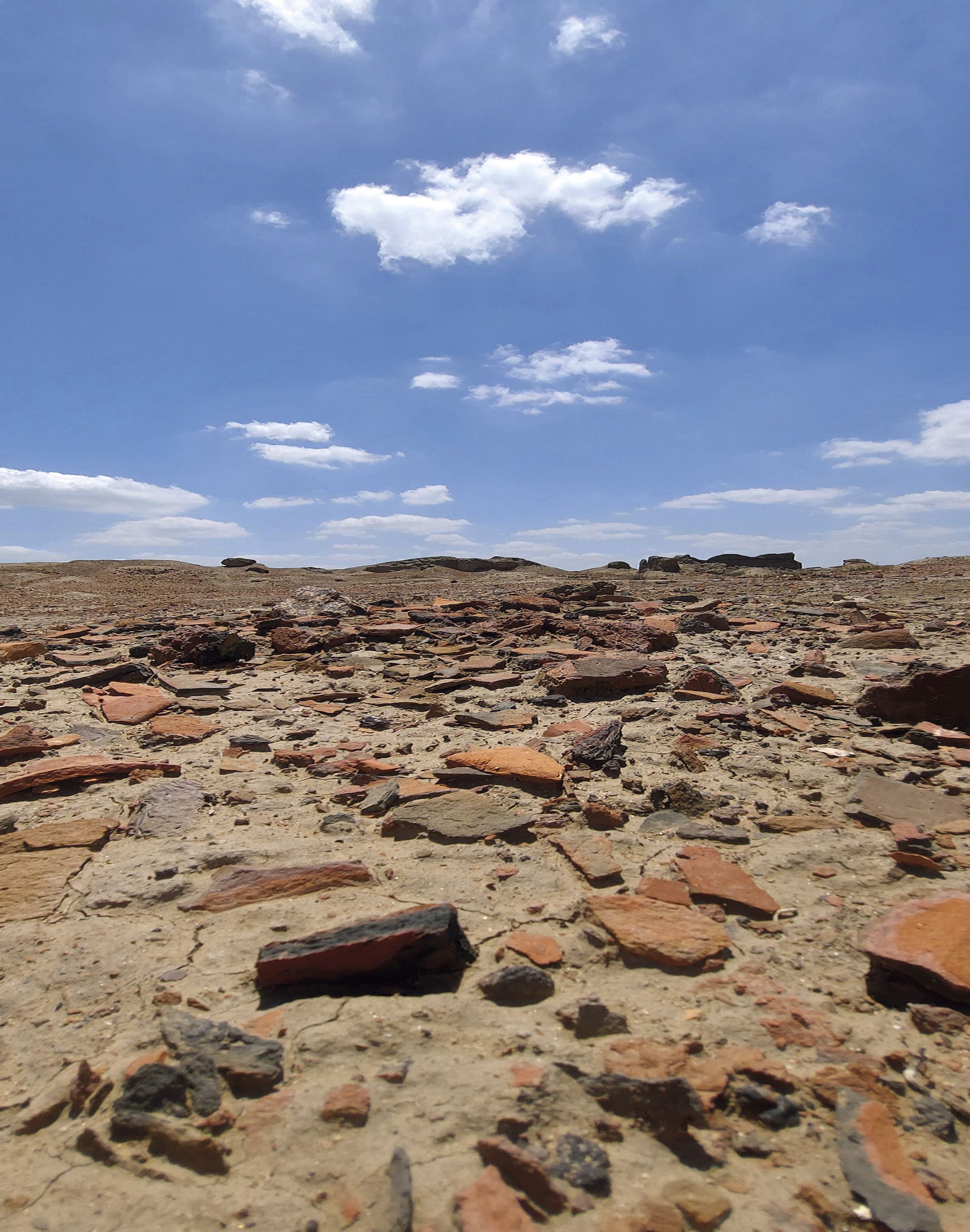 Le site de Tell el-Fara‘in/Bouto avec, au fond, le kôm A. © P. Georges- Zimmermann, Mission Bouto