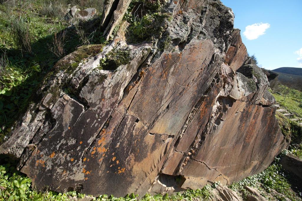 Gravure rupestre de la vallée du Coâ au Portugal.