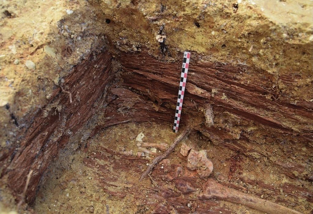 Résidus de planches en bois formant l’angle d’un cercueil. Les clous fixant le couvercle sont encore positionnés en hauteur.