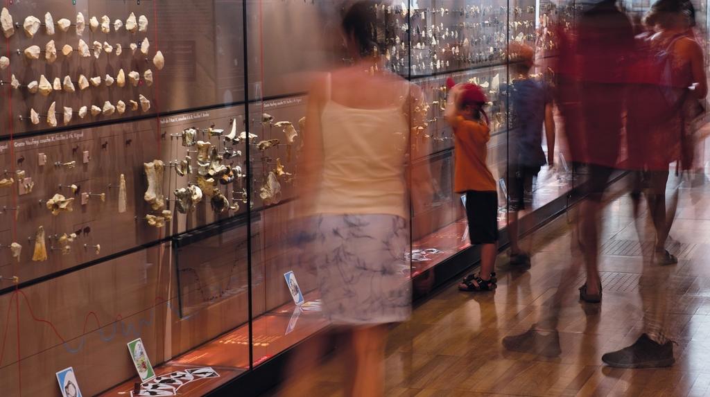 Vitrines et publics en Galerie basse dans le musée actuel.