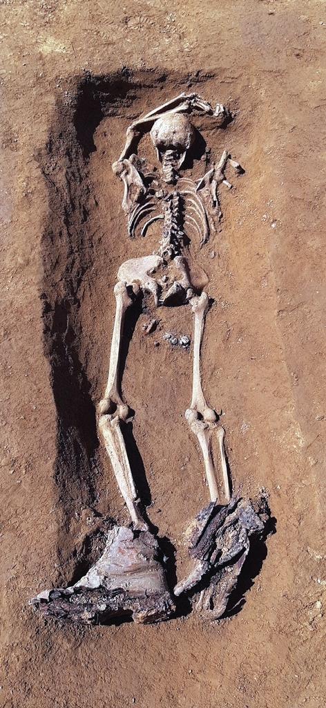 Squelette d’un soldat allemand mort au combat et enseveli (face contre terre) sur le champ de bataille, découvert lors de la fouille d’un habitat de l’âge du Fer à Maltot, au sud-ouest de Caen, au pied de la « Cote 112 ».