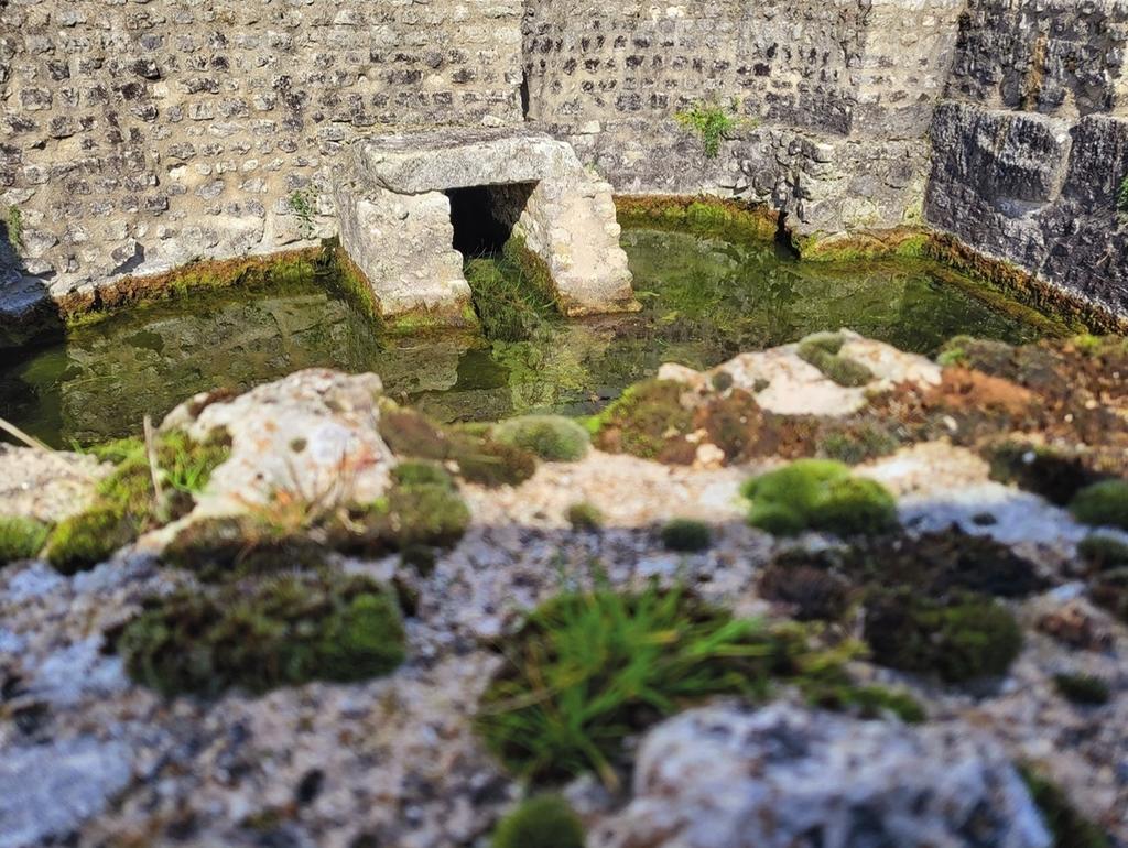 Vue de l’intérieur du nymphée et du canal d’adduction.