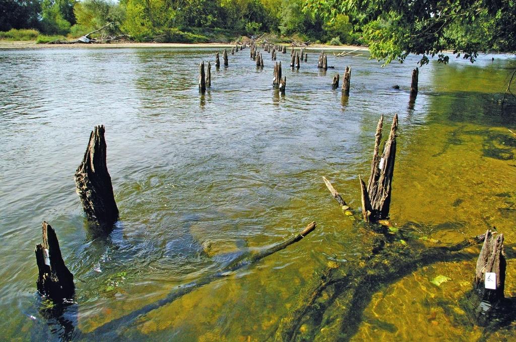 À La Charité-sur-Loire, en période de basses eaux, les promeneurs peuvent voir dans le chenal de la Loire ces pieux qui constituaient les fondations d’un pont en bois. Les chênes qui ont servi à sa construction ont été abattus en 1249.