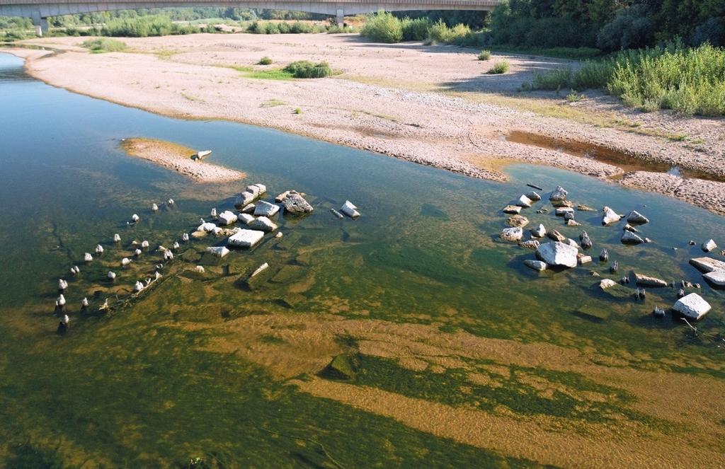 Deux piles du pont mixte de Saint-Satur en août 2022 : on voit les pieux de fondation en chêne qui dessinent le module des piles, avec la pointe triangulaire de l’avant-bec et les blocs démantelés, épars dans le chenal de la Loire. 