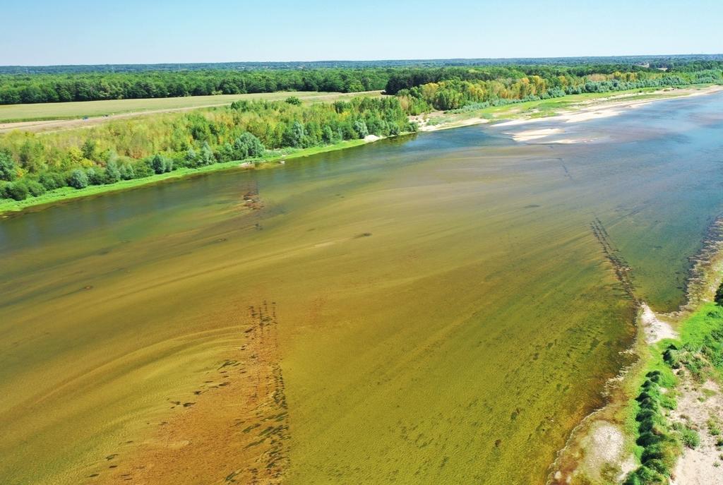 Construites à l’initiative du duc de Sully au début du XVIIe siècle pour protéger son parc et son château des crues et de l’érosion de la Loire, les deux digues (ou battis) barrent tout le chenal actuel du fleuve.