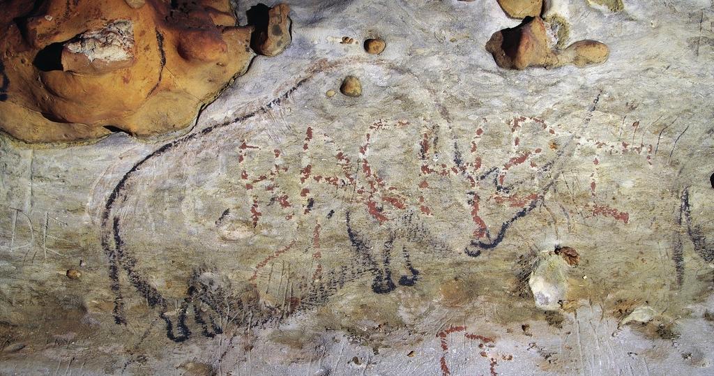 Un rhinocéros de la grotte de Rouffignac.