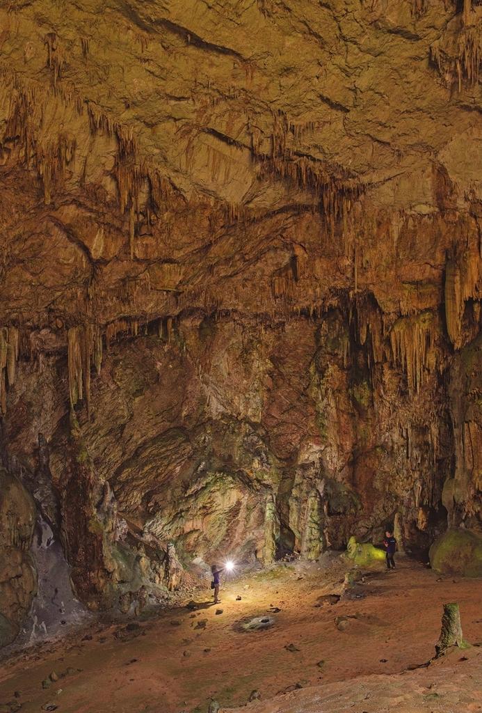 Vue intérieure de la grotte du Chèvrefeuille.