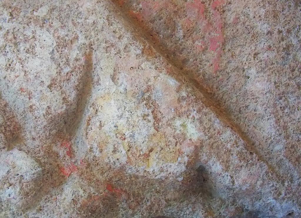 Fragment orné d’un décor végétalisé avec des traces de badigeon blanc, d’ocres jaune et rouge.