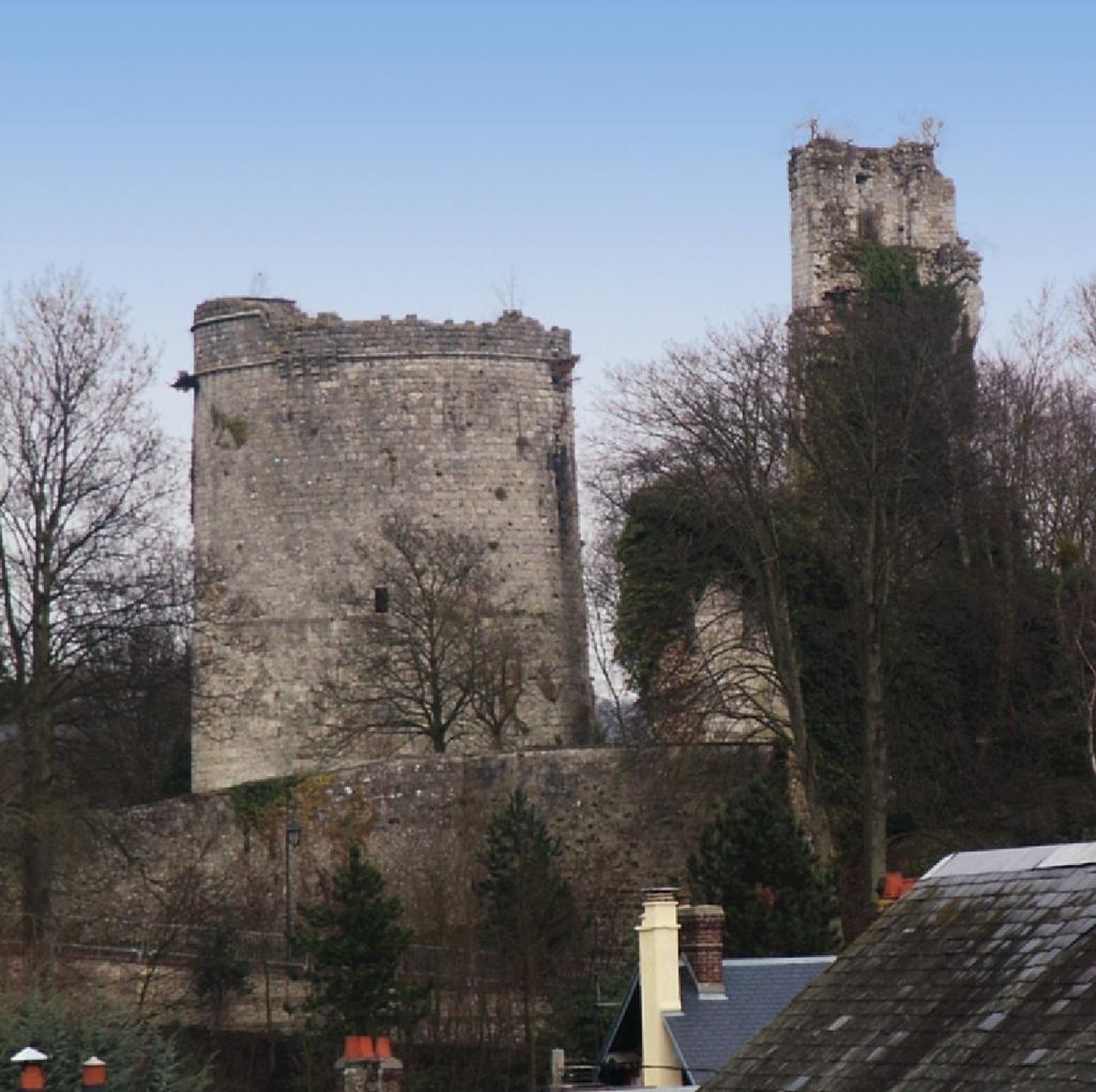 Le château de Lillebonne. Sont aujourd’hui conservés le donjon de Philippe-Auguste et quelques pans d’une tour octogonale.