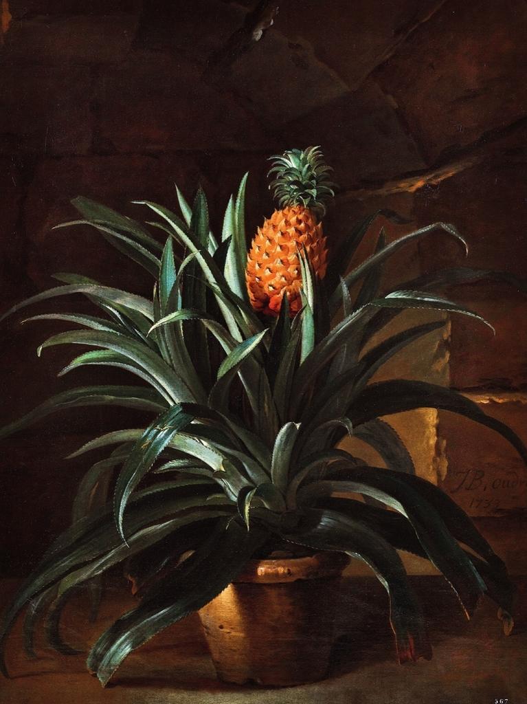 Jean-Baptiste Oudry, Ananas dans un pot, 1733. Huile sur toile, 130 x 97,6 cm. Versailles, musée national des châteaux de Versailles et de Trianon.