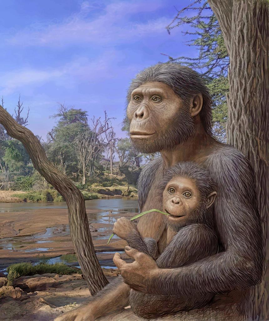 Une femelle d’A. afarensis et son bébé. 