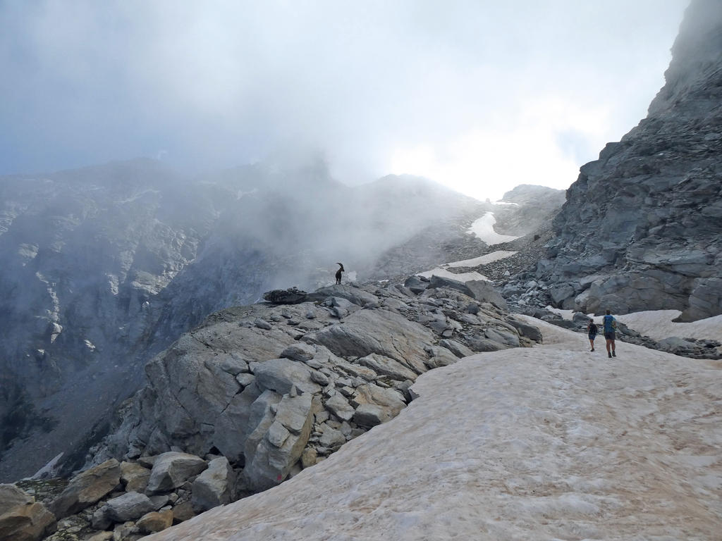 Marche d’accès au col d’Ambin à Bramans, le 23 août 2024.