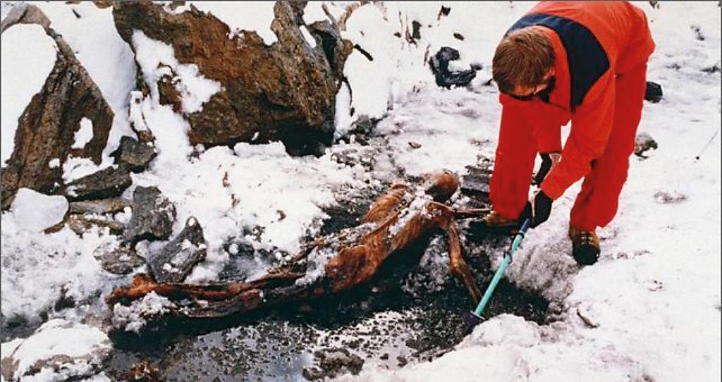 Découverte du corps momifié d’Ötzi par hasard dans les Alpes de l’Ötztal en Italie. 