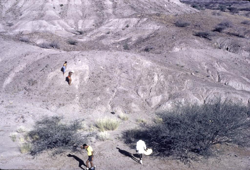 Localité fossilifère de la Formation de Hadar. 