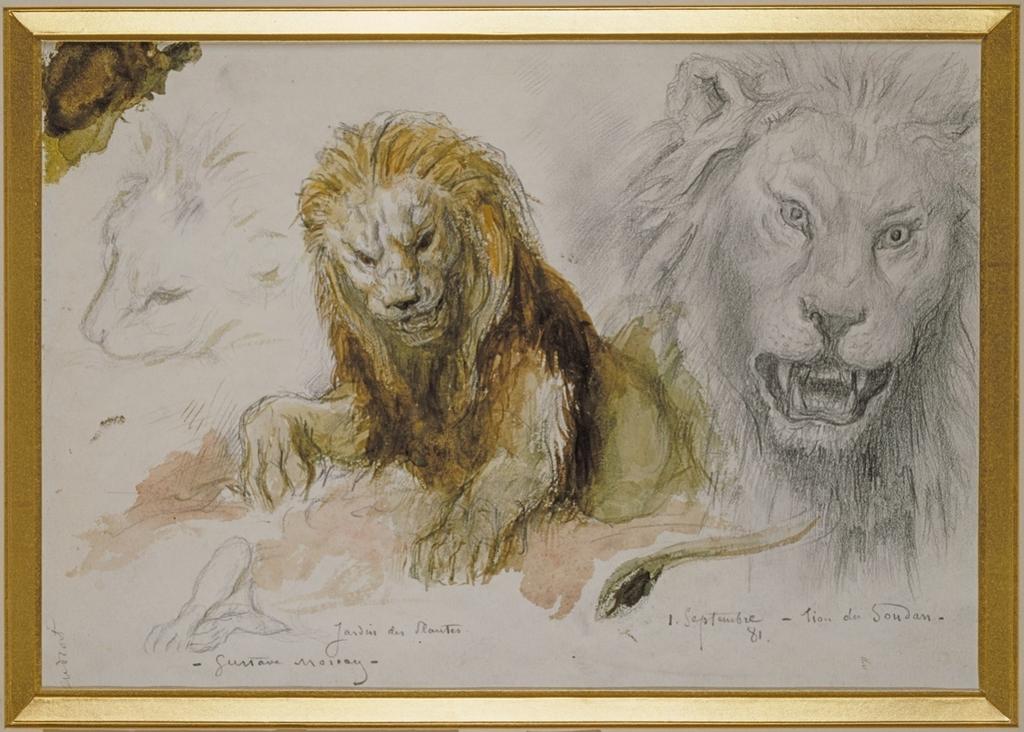 Études de lions (étude préparatoire pour Le Lion et le Rat), 1881, graphite, aquarelle, gouache, 19 x 27,5 cm, Paris, musée Gustave Moreau.