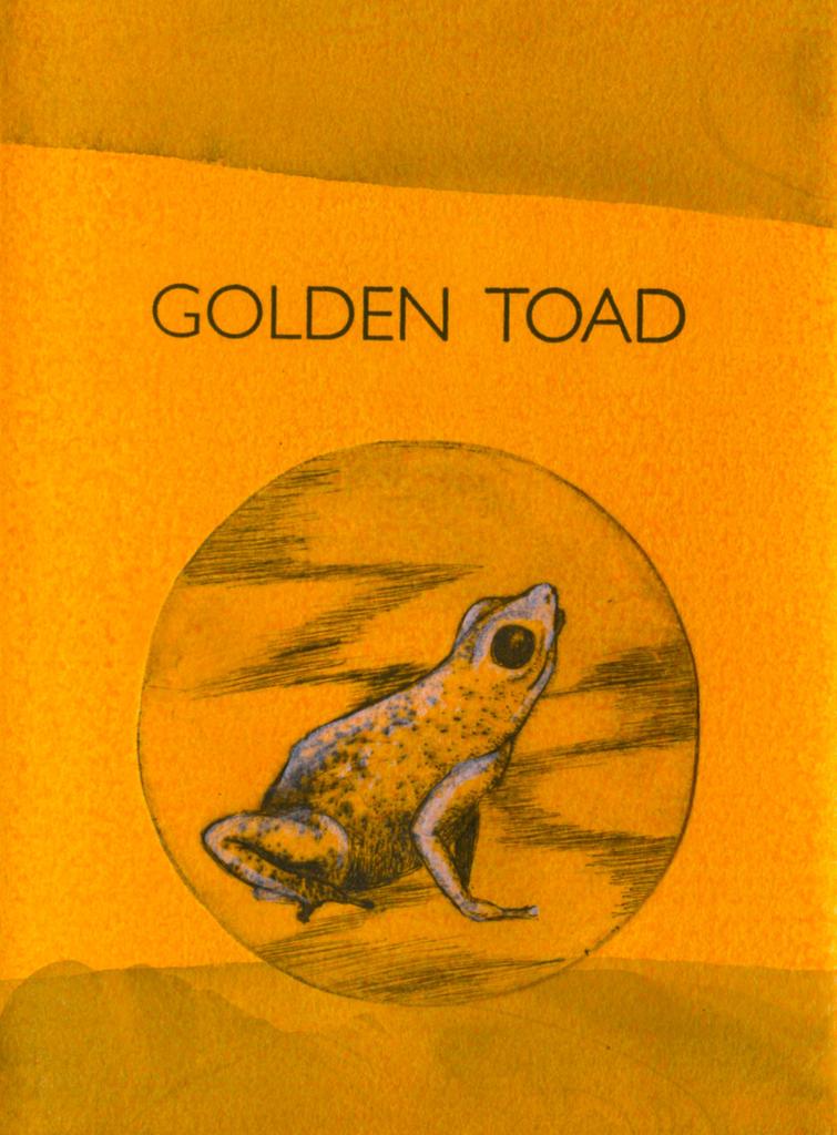 Golden Toad, poème inédit de Rob Swigart, mis en livre d’artiste en 2023, avec 5 pointes sèches originales rehaussées, 15 exemplaires sur papier Jia Xuan, et 20 exemplaires sur Vélin d’Arches