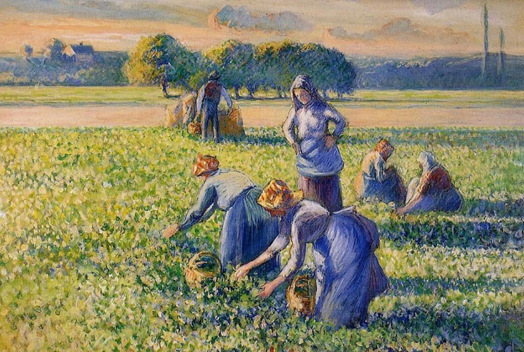 Camille Pissarro (1830-1903), La Cueillette des pois, 1887. Gouache sur papier, 53,3 x 64,4 cm.