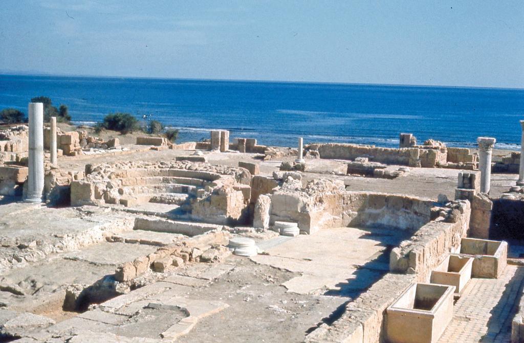 Salamine, basilique de la Campanopétra (Mission de Kition et Salamine).