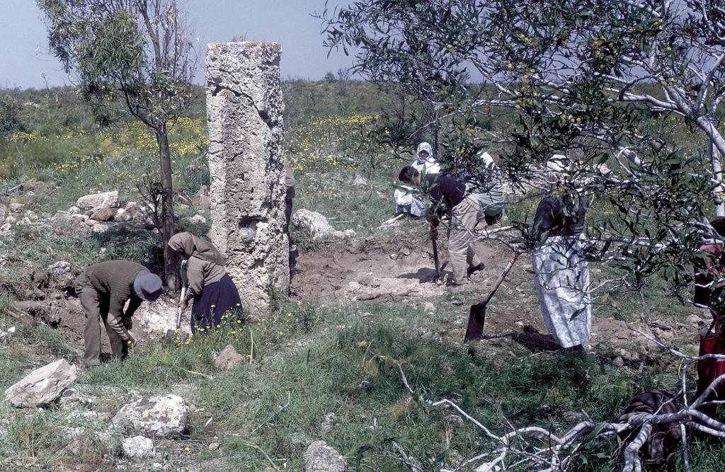 Début des fouilles à l’emplacement de la basilique de la Campanopétra à Salamine en 1965.