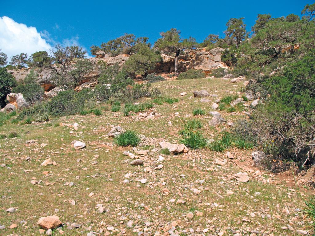 L’abri sous roche d’Abou Tamsa, Djebel Akhdar, Cyrénaïque, Libye, avril 2012. 