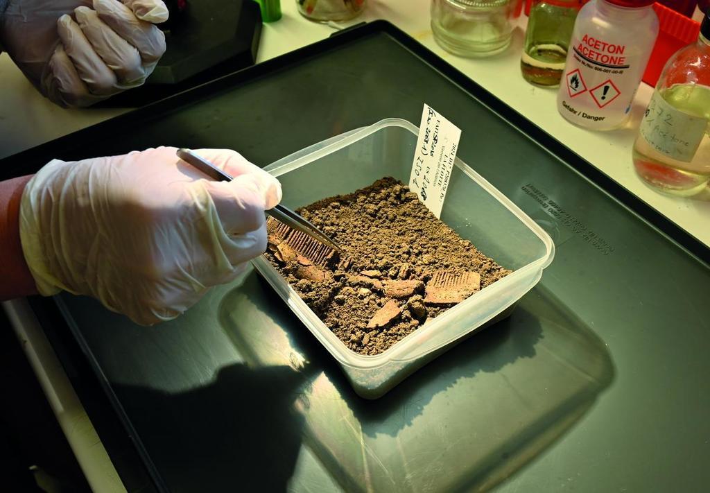 Prélèvement sur un peigne en os ou bois de cervidé.