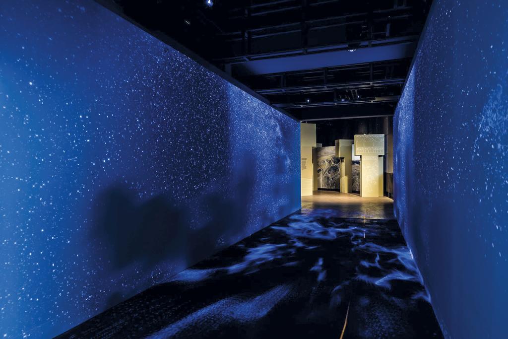 Vue de l'exposition.