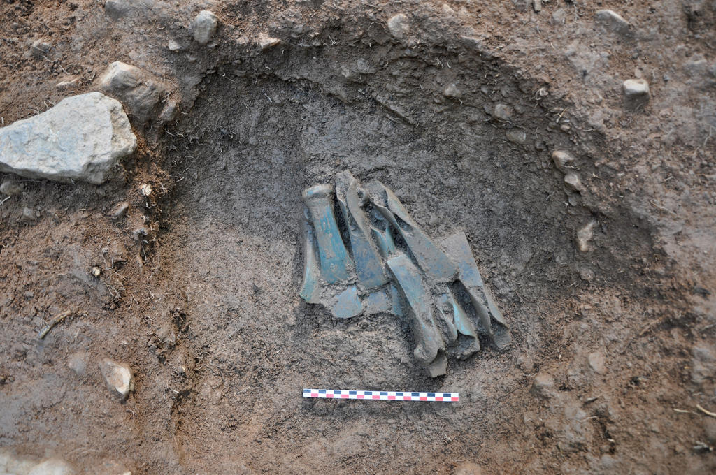 Dépôt de haches en cours de fouilles à Jenzat. 