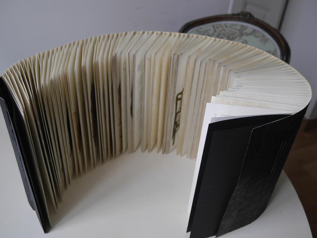 Scopuluche, textes d’Emmanuel Jeuland, gravures et conception Marie-Christine Bourven, Atelier Recto Verso, 2024.