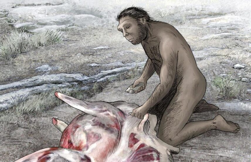 Évocation de découpe de viande.