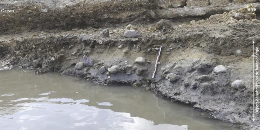 Coupe de la séquence sédimentaire.