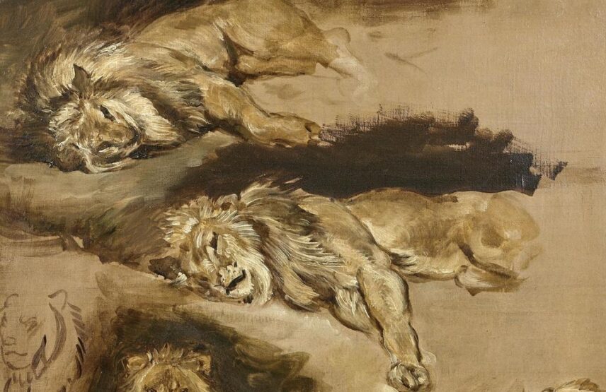 Eugène Delacroix (1798-1863), Étude de lions couchés (détail). Huile sur toile (châssis d’origine), 61 x 50 cm. Vente Paris Drouot, Daguerre, 28 mars 2025. Expert : Cabinet Turquin. Estimé : 200 000/300 000 € Adjugé : 455 000 € (frais inclus).