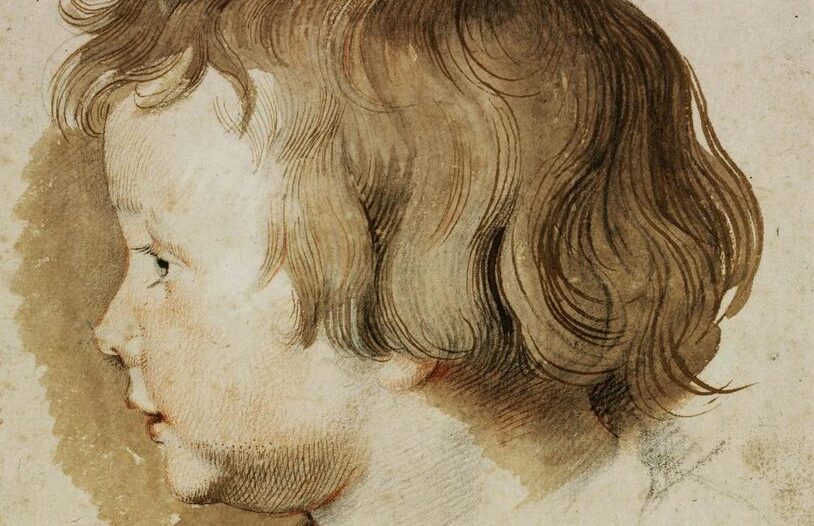 Pierre Paul Rubens (1577-1640), Portrait de profil du fils de l’artiste (détail), Albert Rubens, vers 1618-1619. Sanguine, craie noire, plume, encre brune, pinceau et lavis brun sur papier, 24,6 x 20,3 cm. Budapest, musée des Beaux-Arts, acquis auprès de la collection Esterházy, 1871.