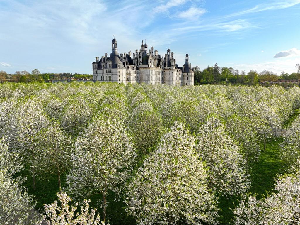 Vue du château de Chambord ceint par son domaine.
