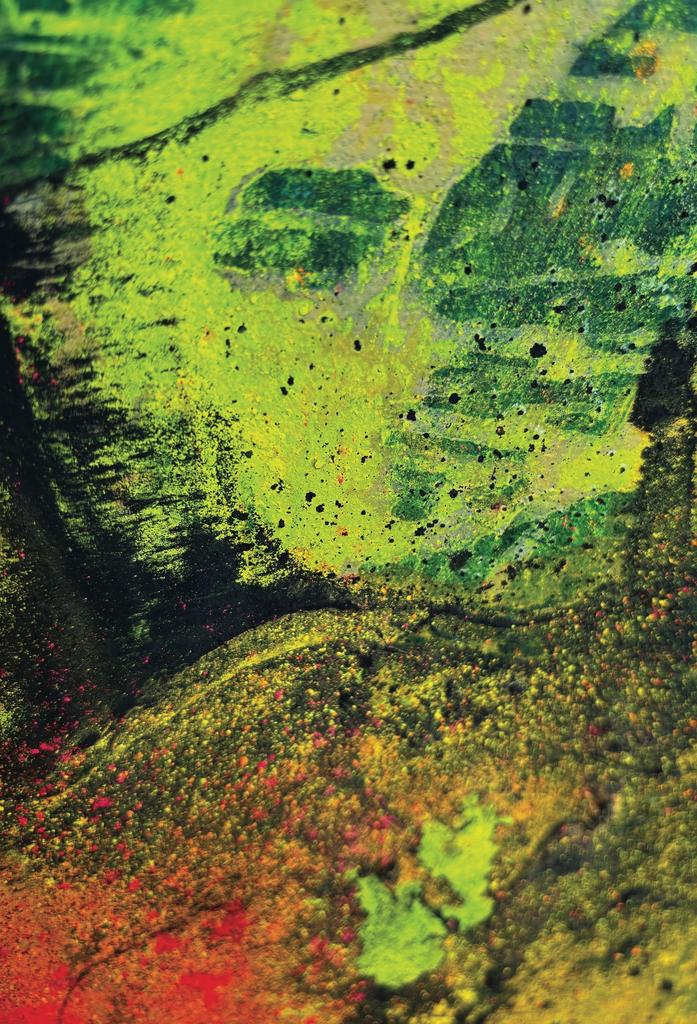 Claude Mollard, Le Petit Prince vert, Origène surgi de l’œuvre de Philippe Charpentier. Photographie. 