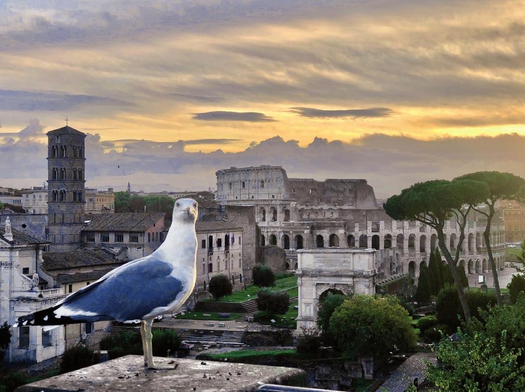 Vue sur le Colisée et l’arc de Titus.