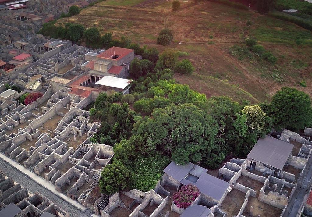 Le site du « cuneo » avant la fouille ; la zone qui a été mise au jour se trouve sous les arbres. Pompéi, Parc archéologique de Pompéi.