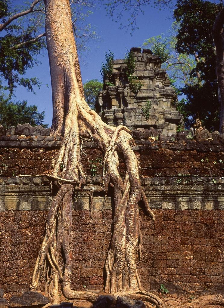 Temple de Ta Prohm à Angkor, fin du XIIᵉ siècle.