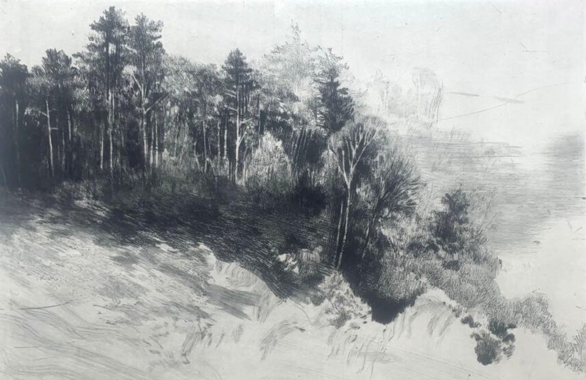 Lisière I – état 1, série « Palimpseste », 2023, pointe sèche, taille directe, 23 x 33 cm (matrice), 40 x 50 cm (feuille).