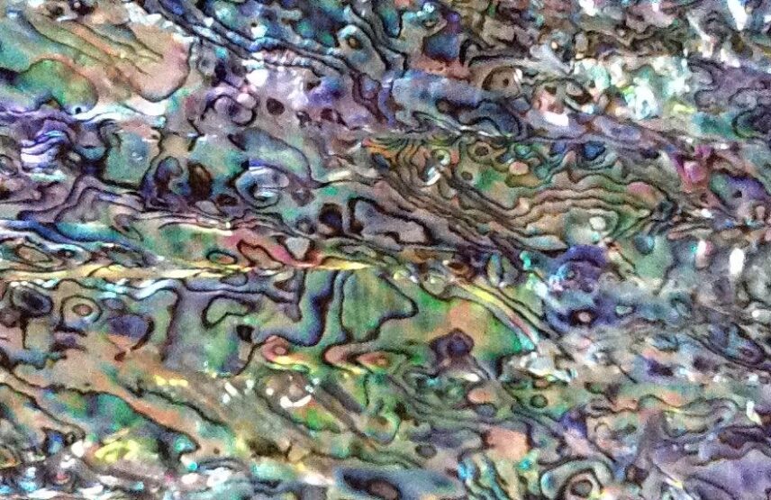 Détail d'une plaque de nacre.