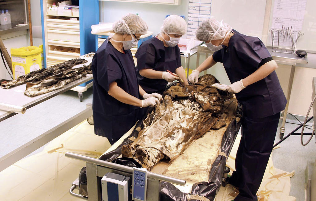 Étude de la dépouille de Louise de Quengo découverte à Rennes en 2013.