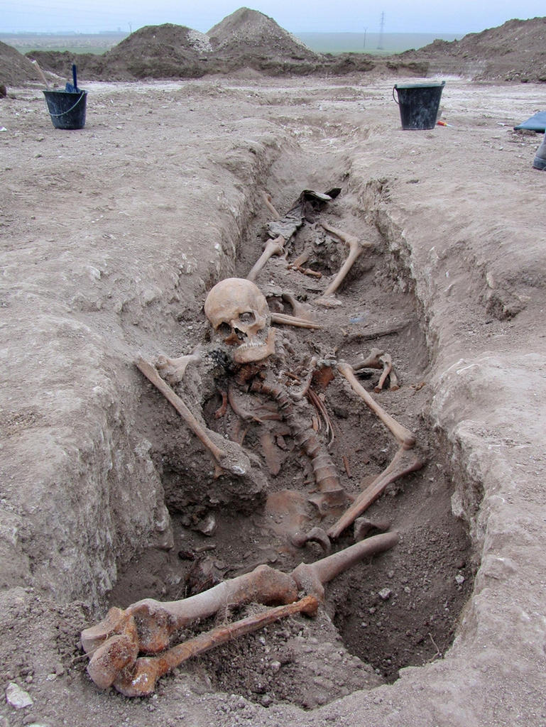 Fouille d’une petite tranchée de la Grande Guerre, où ont été mis au jour en 2012 les corps de cinq soldats allemands. 