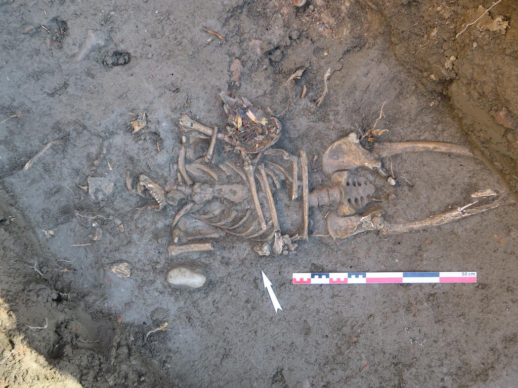 Sépulture d’époque moderne dans la cour de la Maternité de l’hôpital La Grave. 