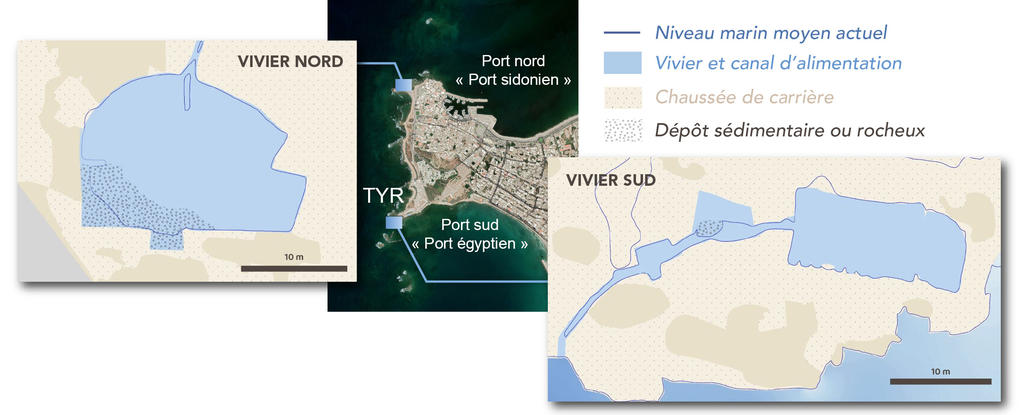 Carte de localisation de Tyr au Liban et position des deux viviers romains, situés respectivement aux extrémités nord et sud du promontoire rocheux. 