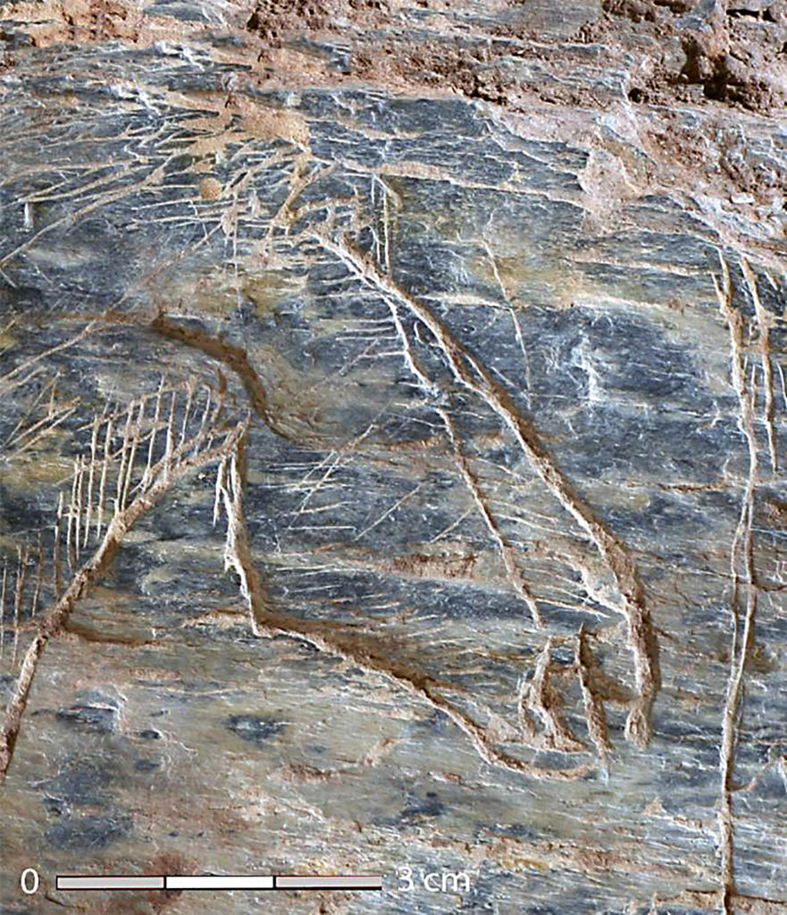 Vue de détail du cheval seul sur la plaquette aux chevaux.