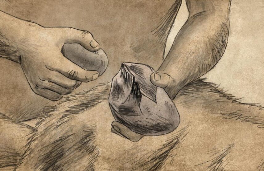 Évocation de la taille d'un outil.