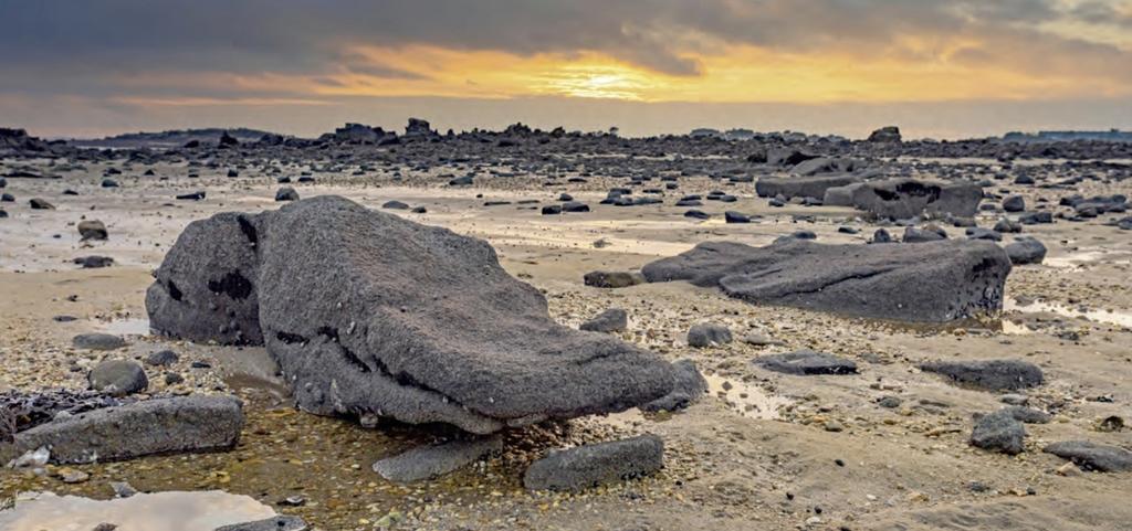 Alignements de Kerdual, La Trinité-sur-Mer.