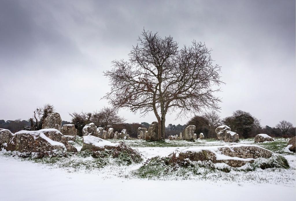 Alignements de Kerzerho, Erdeven.