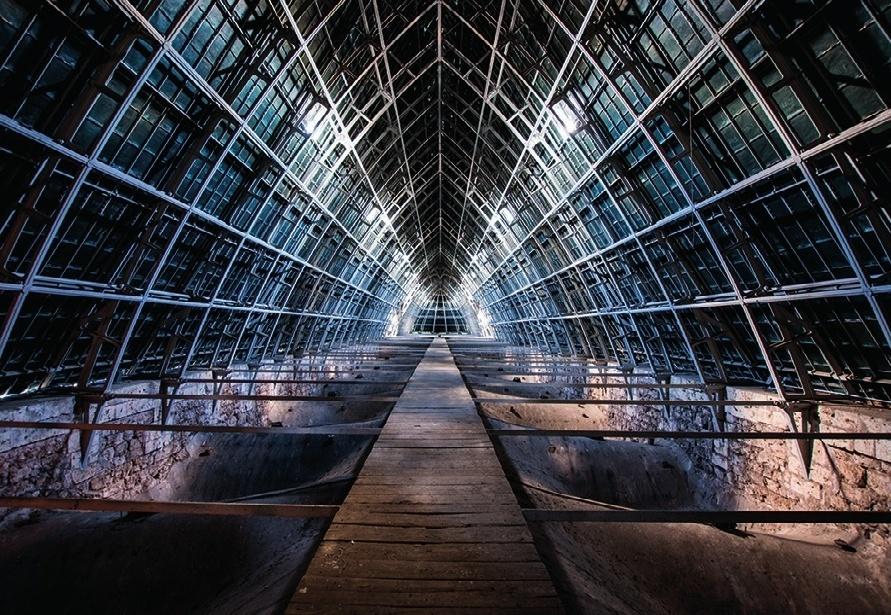 La charpente en fer et en fonte, en forme d’arc brisé, de la cathédrale de Chartres.