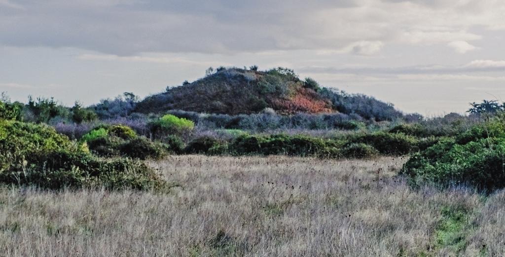 Vue du tumulus de Tumiac.